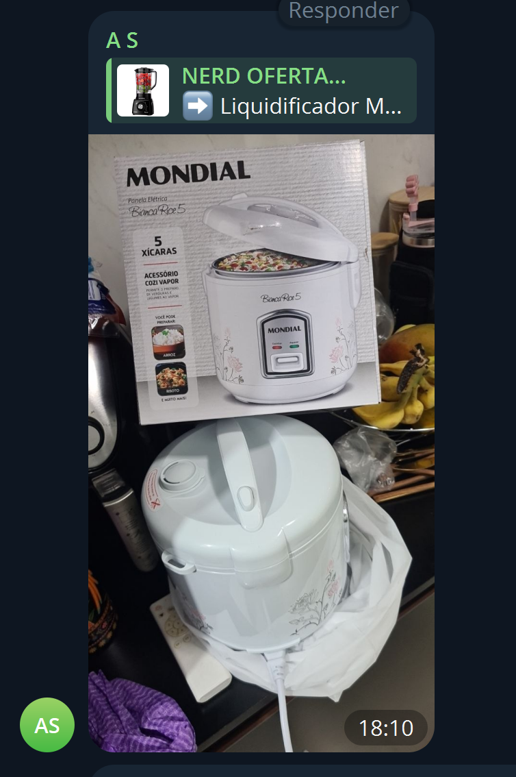 Panela Elétrica de Arroz Mondial Bianca Rice NPE-05 por R$ 39